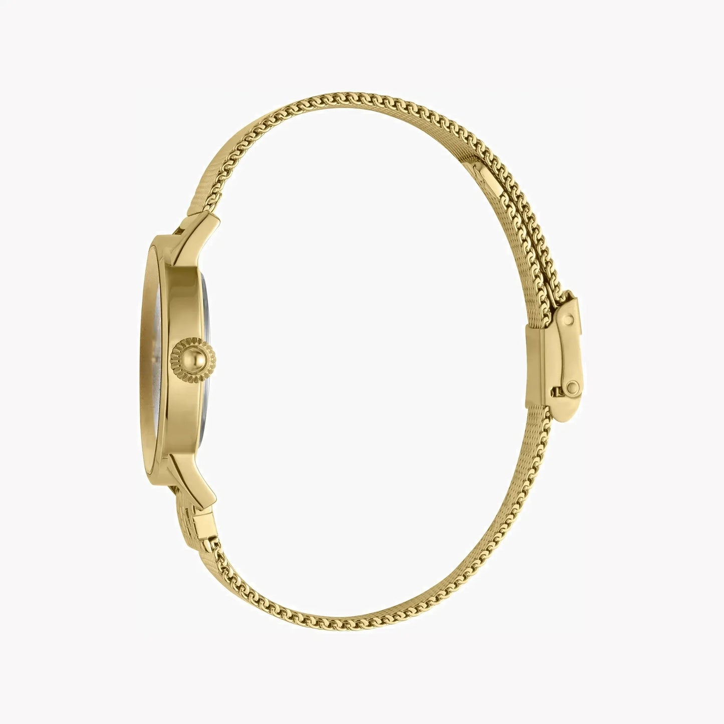 Just Cavalli Women's Gold Stainless Steel Watch, Silver Dial | Jc1l078m0065 by JUST CAVALLI