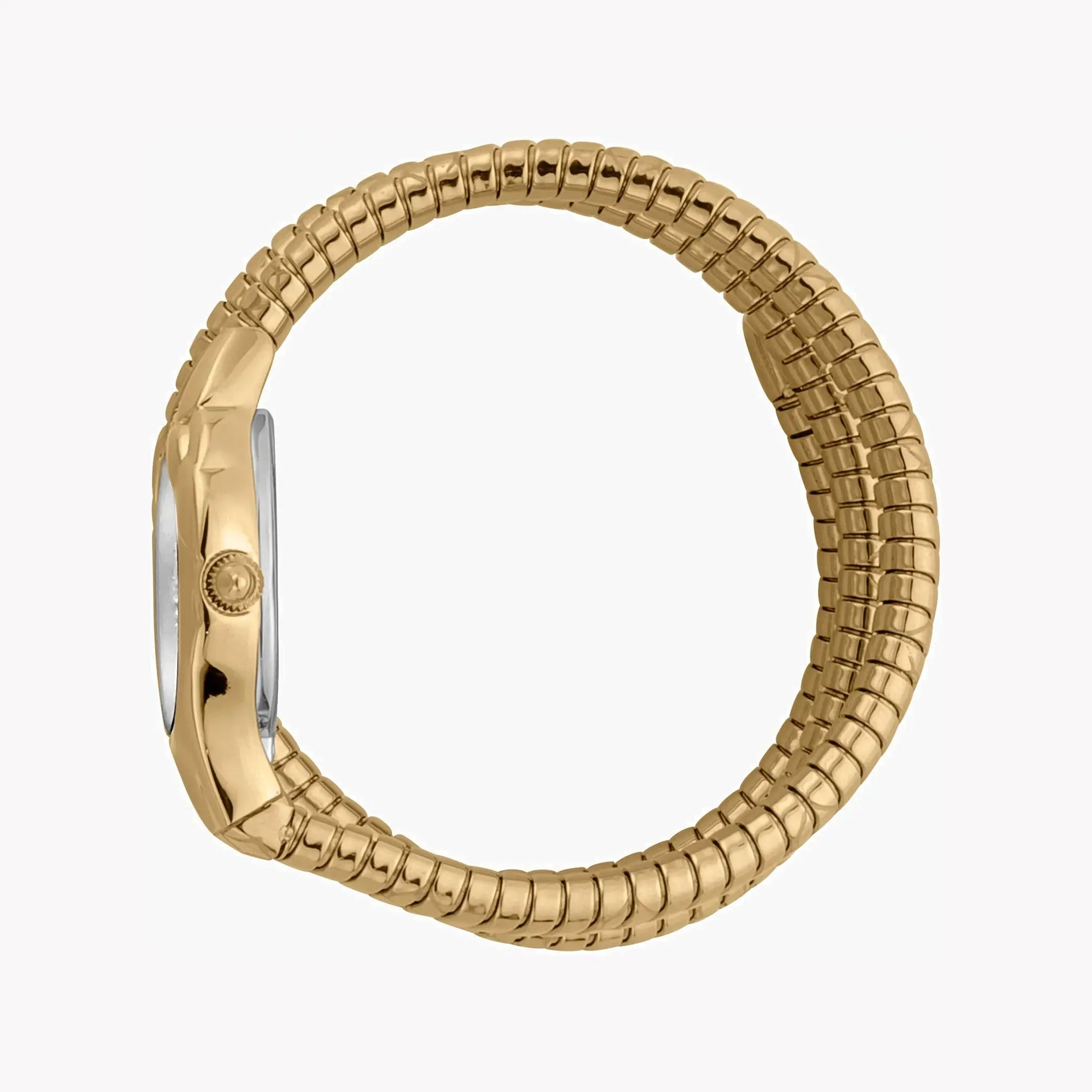 Just Cavalli Women's Gold Stainless Steel Watch, Silver Dial | Jc1l189m0035 by JUST CAVALLI