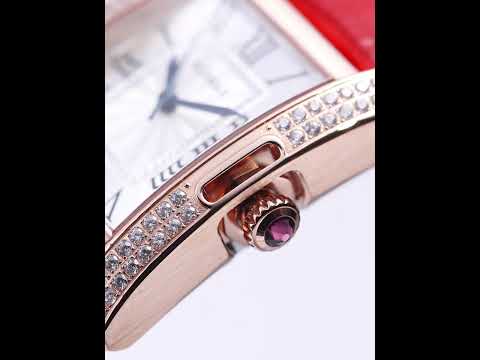 RUIMAS Fashion Automatic Mechanical Watch for Women Luxury Leather Ladies Wristwatch Waterproof Female Clock Reloj Mujer 6773 by MEGIR WATCH GROUP