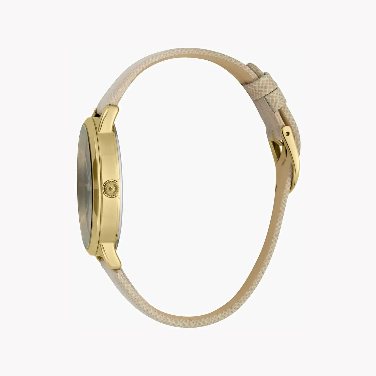 Just Cavalli Women's Beige Leather Watch, Gray Dial | Jc1l117l0035 by JUST CAVALLI