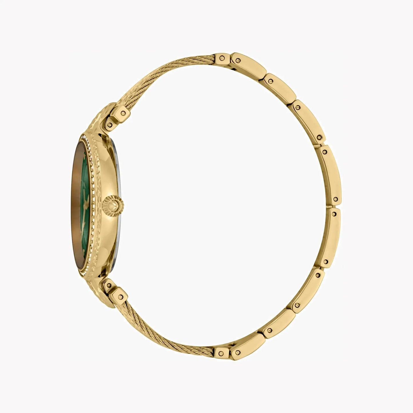 Just Cavalli Women's Gold Watch, Green Mother Of Pearls Dial | Jc1l169m0035 by JUST CAVALLI