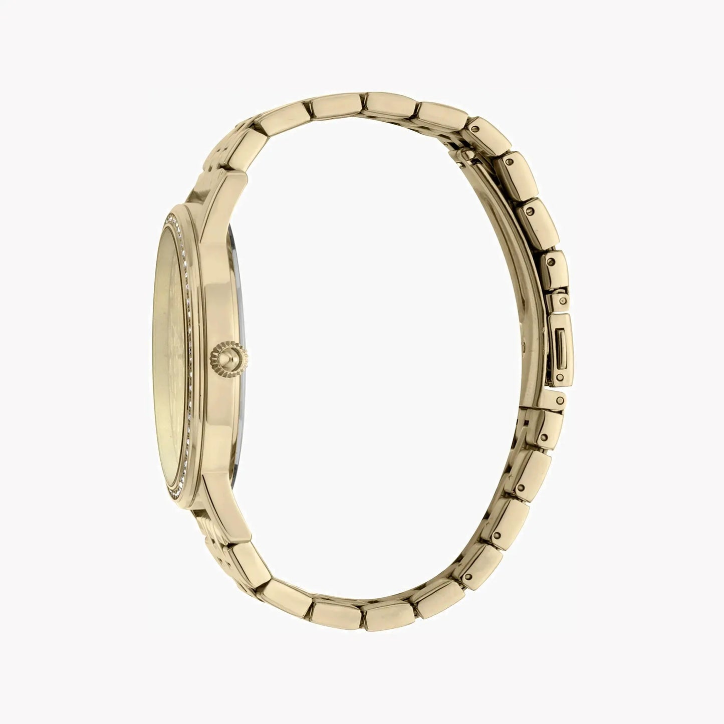 Just Cavalli Women's Gold Watch, Champagne Dial | Jc1l094m0055 by JUST CAVALLI