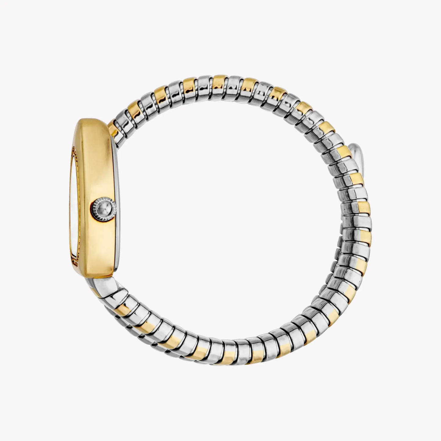 Just Cavalli Women's Two Tone Silver & Gold Watch, Silver Dial | Jc1l249m0055 by JUST CAVALLI