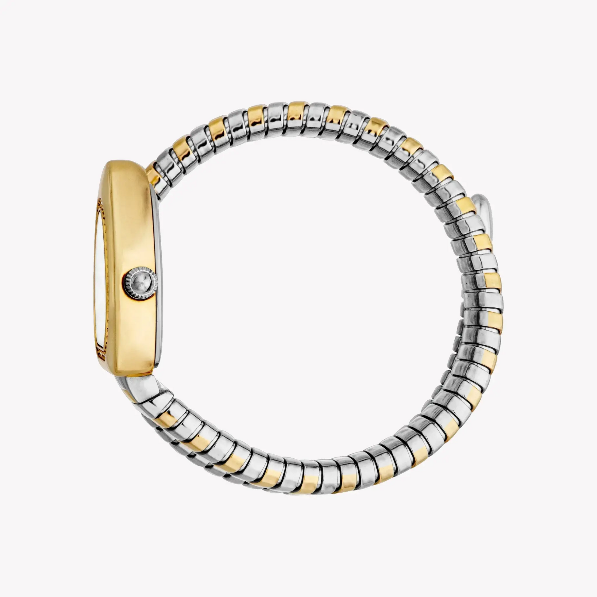 Just Cavalli Women's Two Tone Silver & Gold Watch, Silver Dial | Jc1l249m0055 by JUST CAVALLI