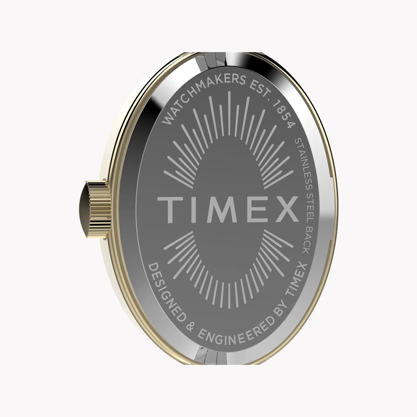 Cavatina Gold-tone Case Two-tone Bracelet White Dial TW2Y26800 by TIMEX