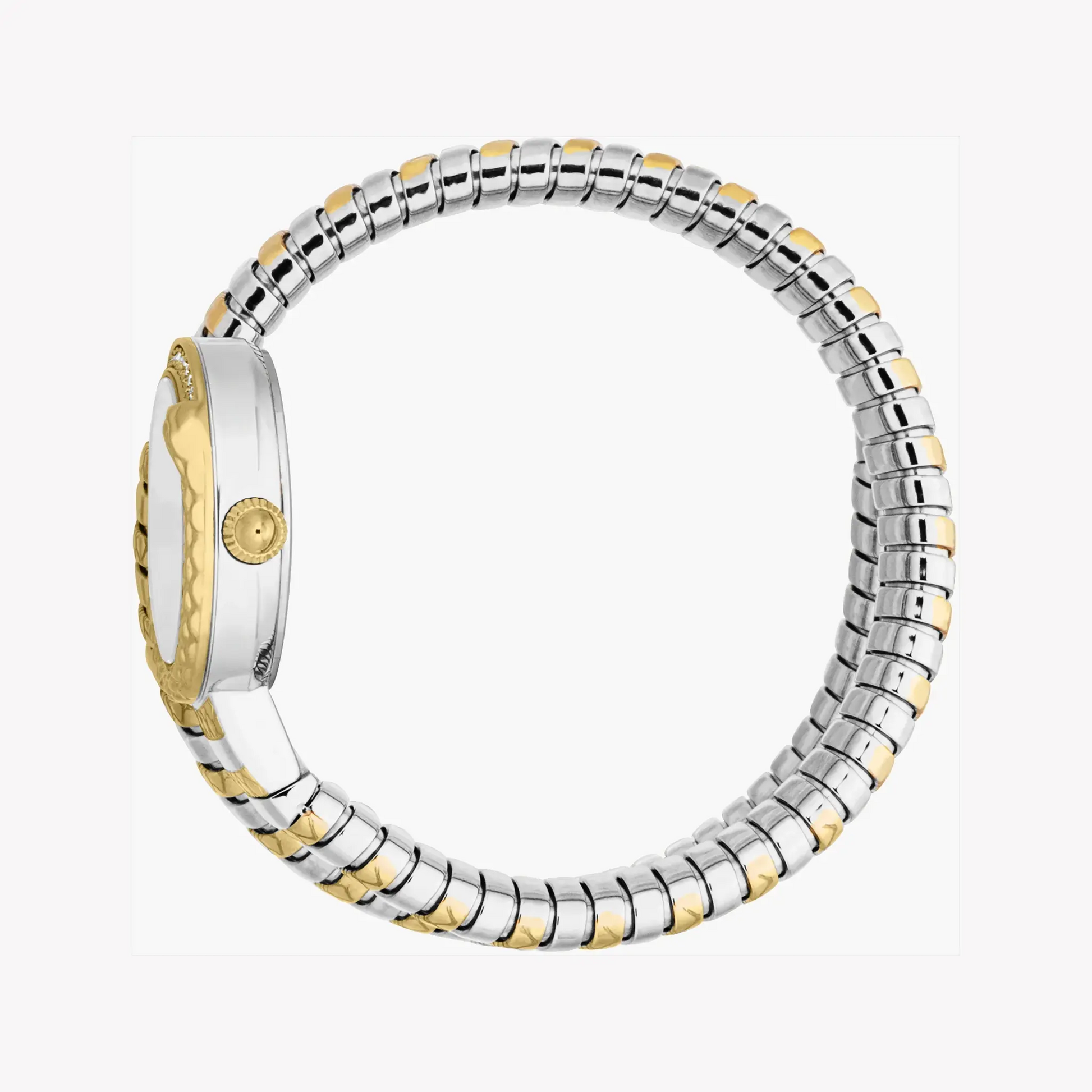 Just Cavalli Women's Two-Tone Watch, Silver Dial | Jc1l301m0065 by JUST CAVALLI