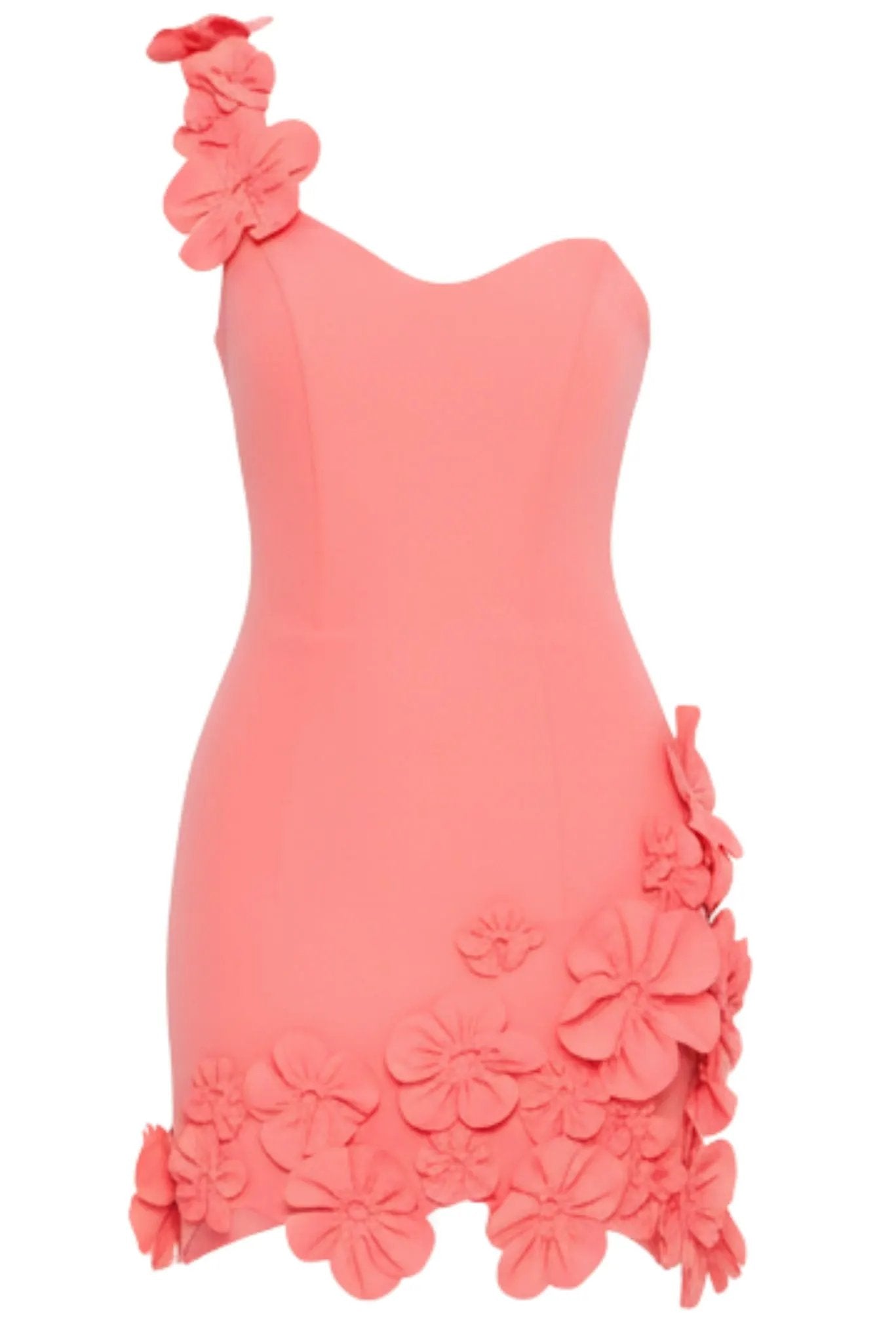 Alexa Floral Mini Dress by Akalia