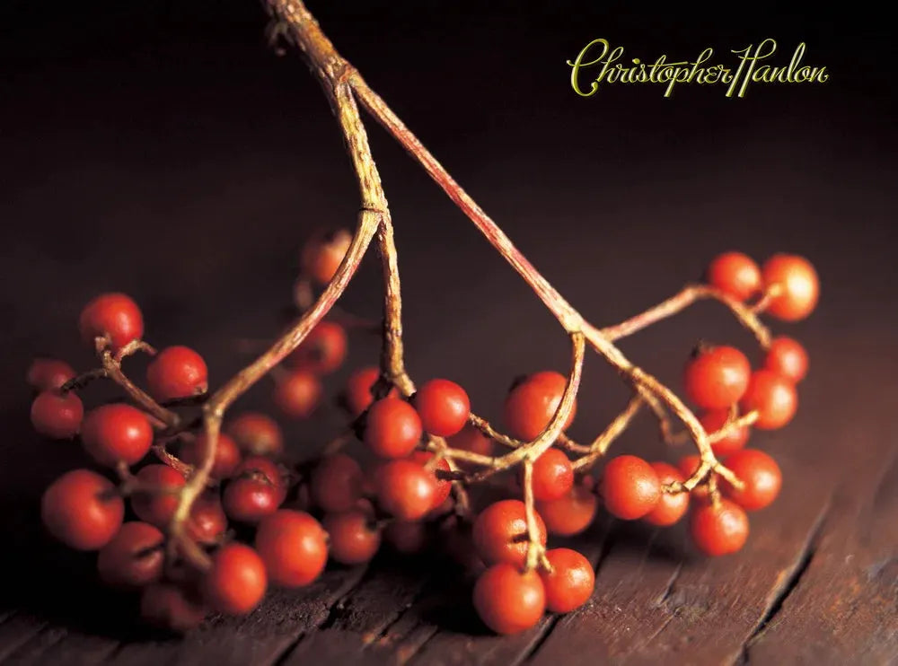 BESPOKE | ANTI ÂGE FACE LIFT CREME | Extra Dry by CHRISTOPHER HANLON®