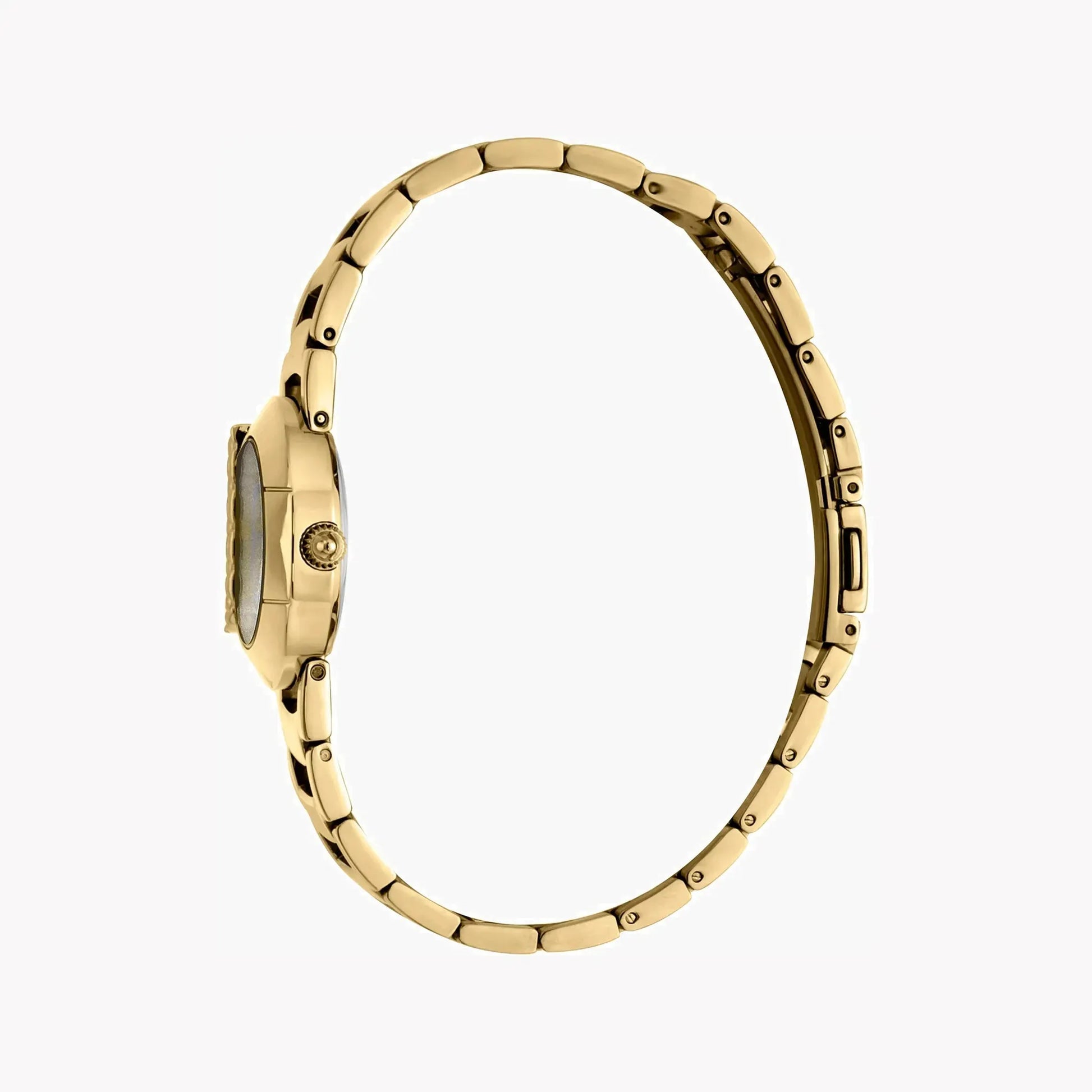 Just Cavalli Women's Gold Stainless Steel Watch, Champagne Dial | Jc1l109m0035 by JUST CAVALLI