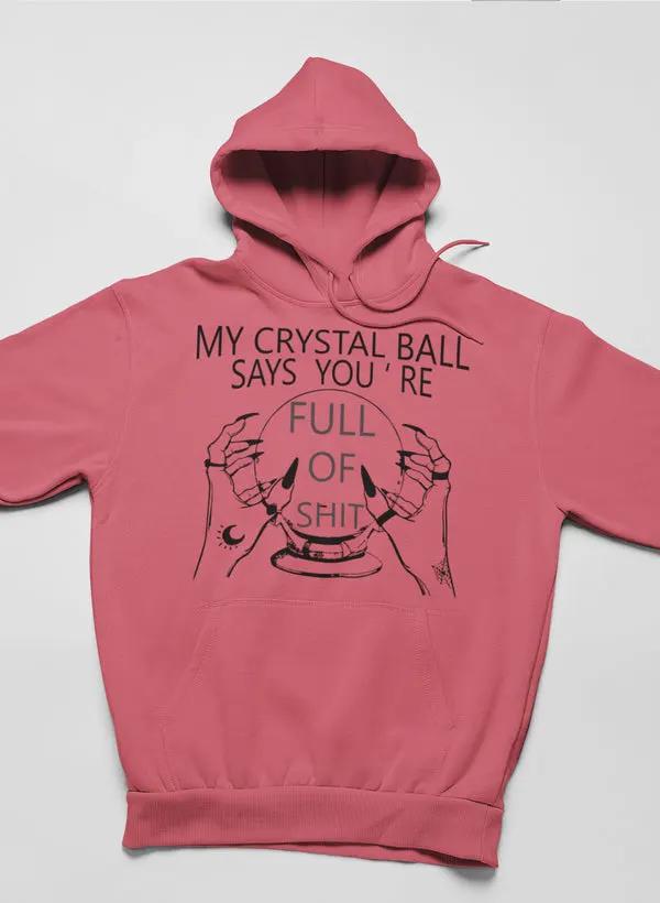 My Crystal Ball Says Hoodie by Merch