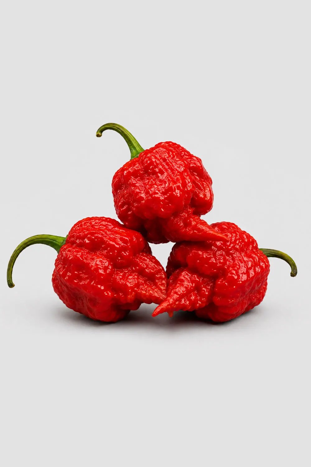Trinidad Scorpion Pepper Sauce by Hideout x Habanero Trinidad