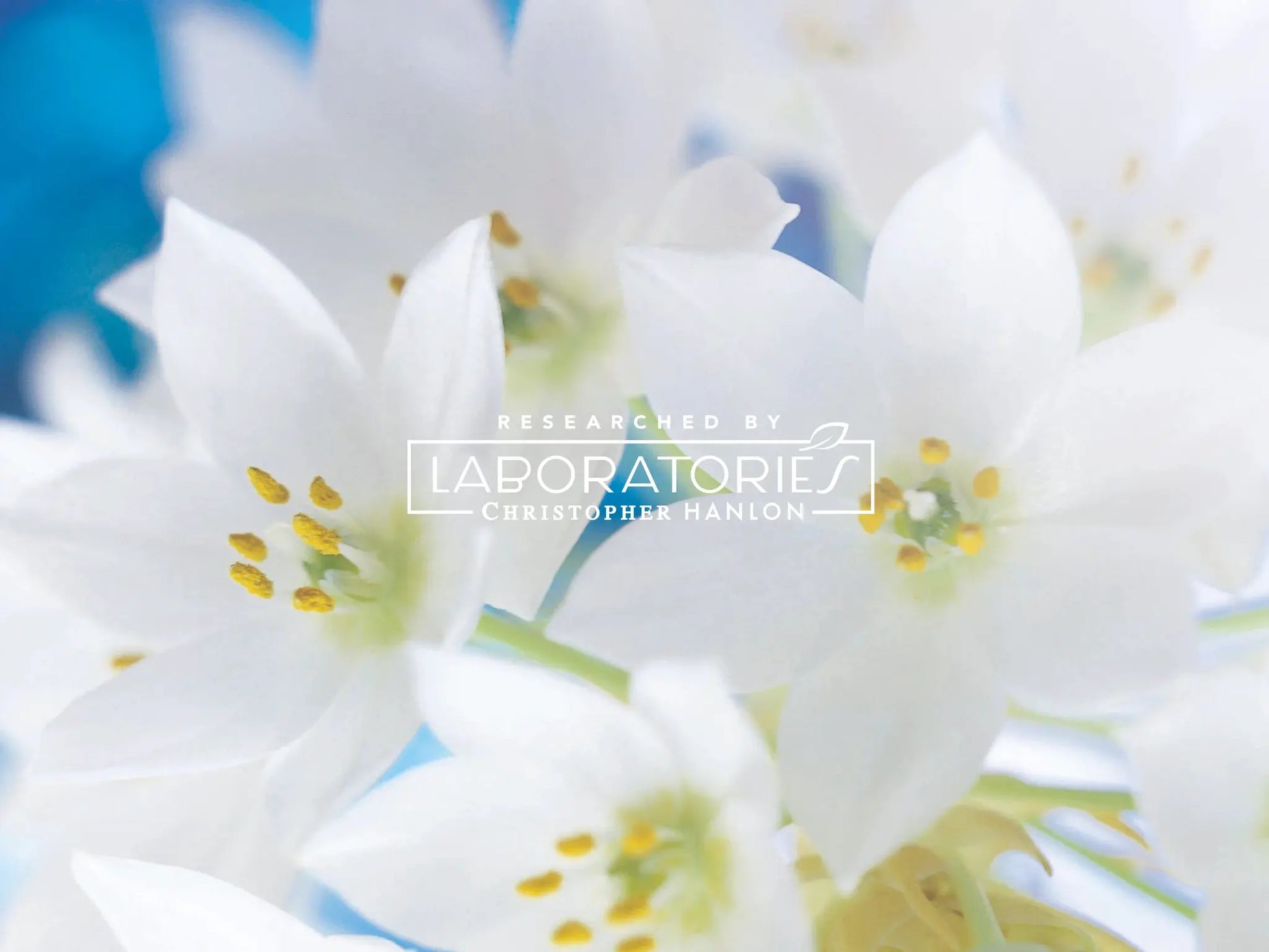 GOAT MILK, LEMON MYRTLE + LIME | HAIR + BODY LUXURY SHAMPOO by CHRISTOPHER HANLON®