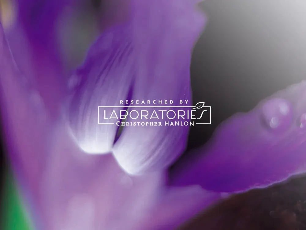 2x BUSH MINT + TASMANIAN LAVENDER | SHEABUTTER HAND WASH + HAND BALM by CHRISTOPHER HANLON®